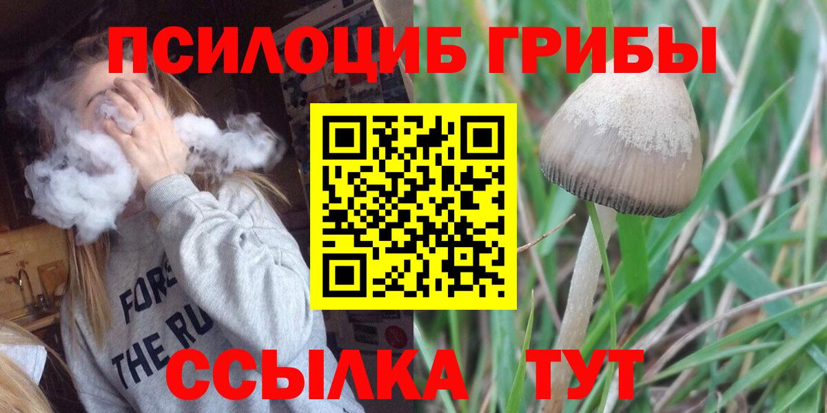 купить   Псилоцибиновые грибы Magic Shrooms  Вход с VPN  Норильск 